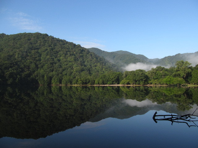 �R�����L