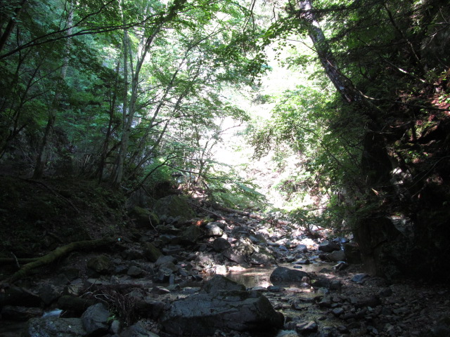 �R�����L