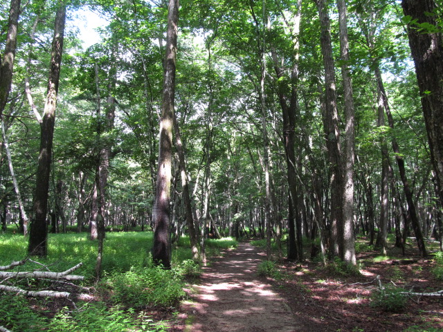 �R�����L