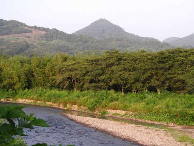 �R�����L