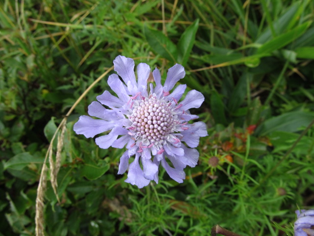 �R�����L