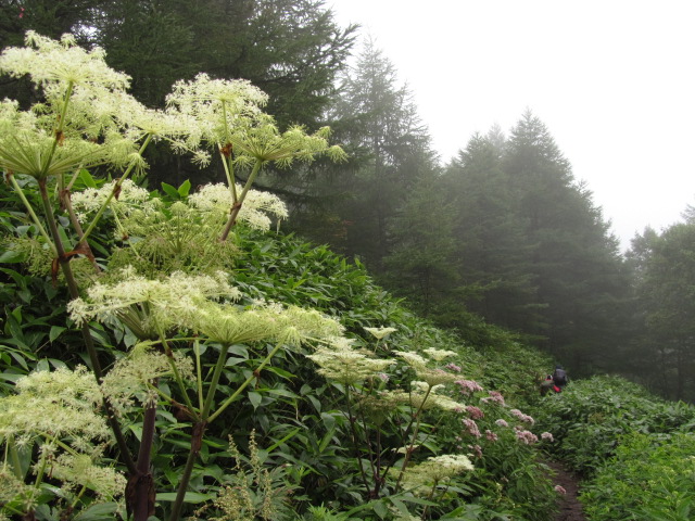 �R�����L