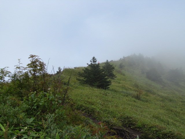 �R�����L