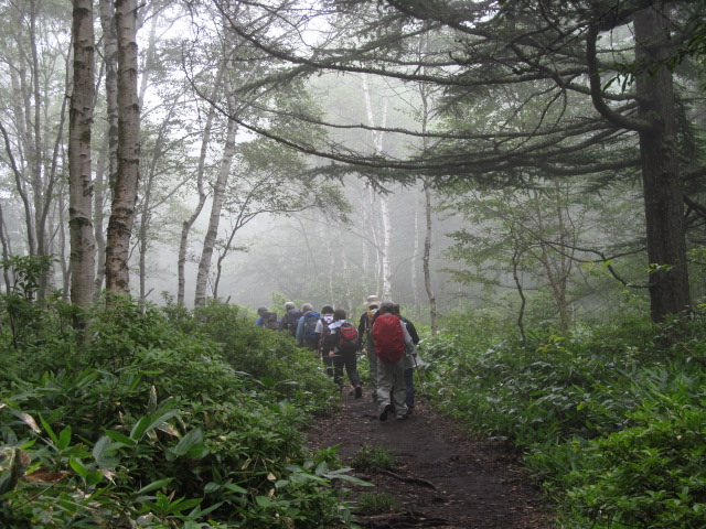 �R�����L