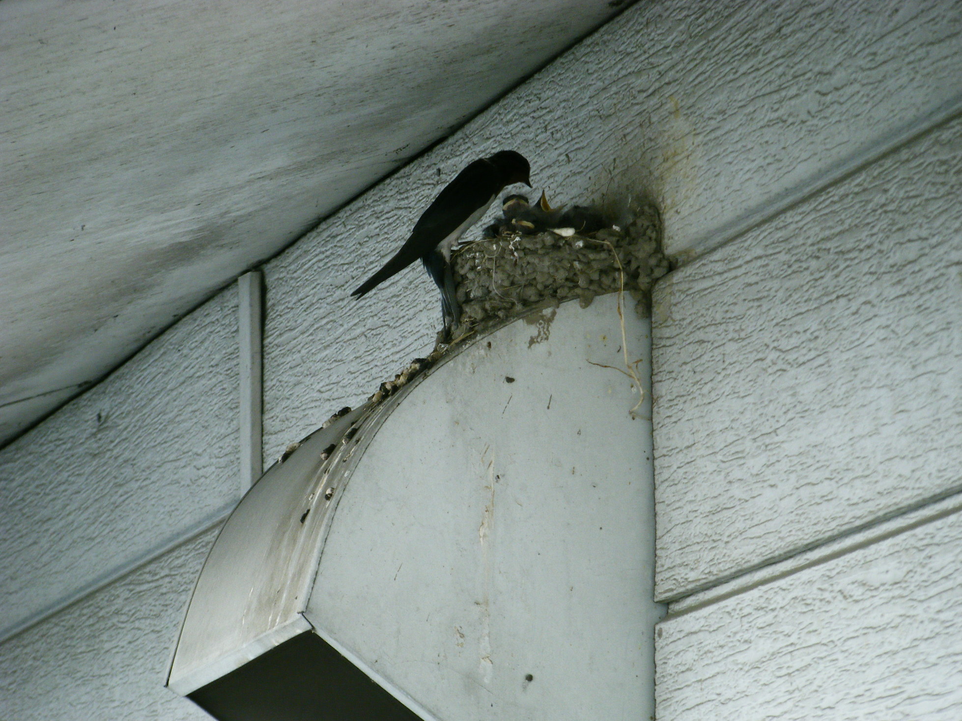 �R�����L