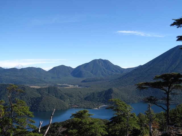 �R�����L