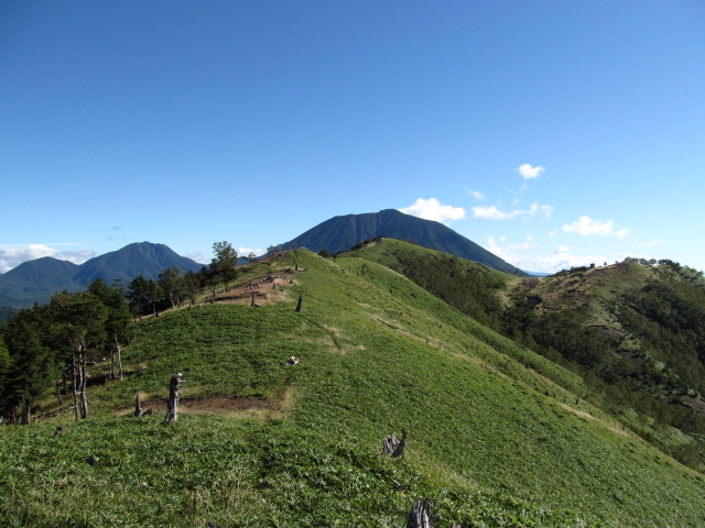 �R�����L