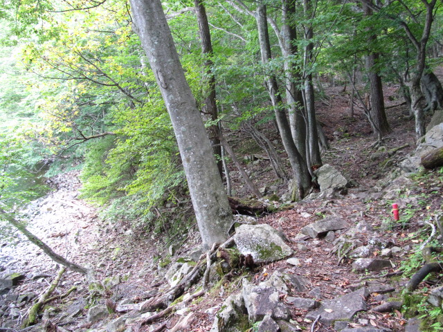 �R�����L