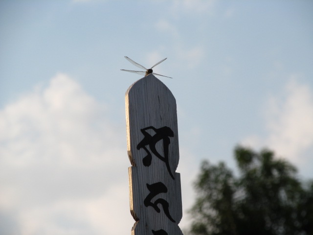 �R�����L