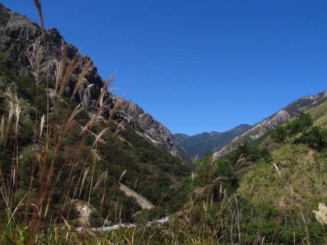 �R�����L