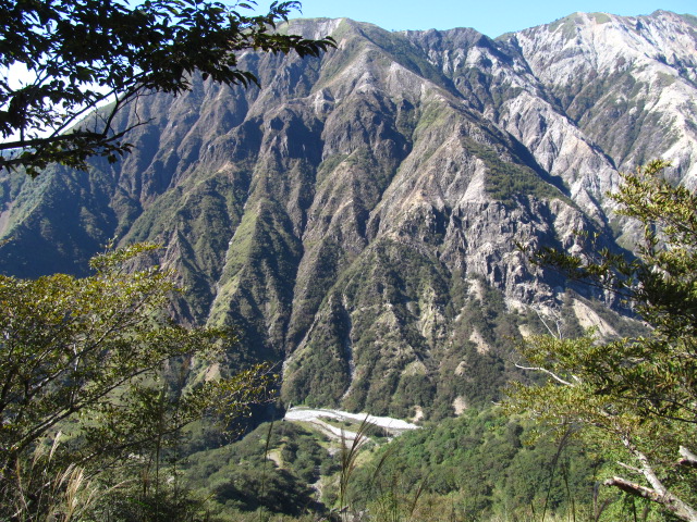 �R�����L