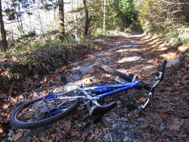 �R�����L