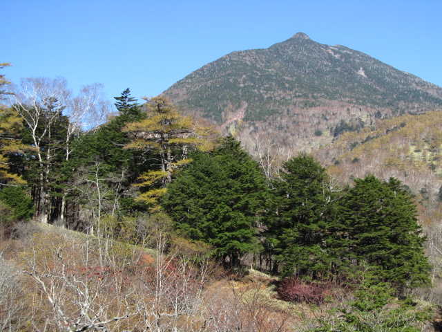 �R�����L