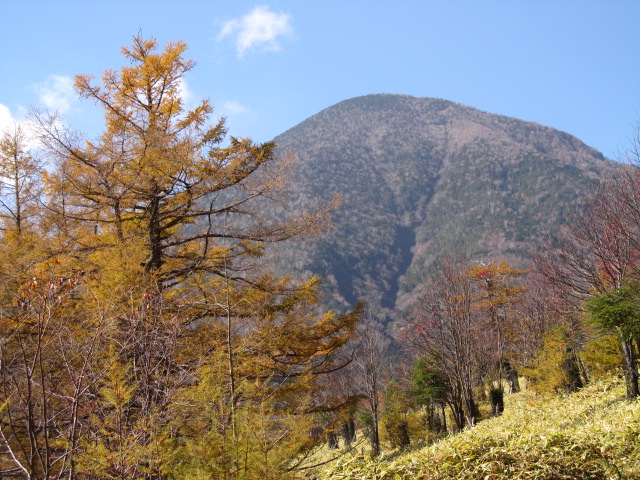 �R�����L