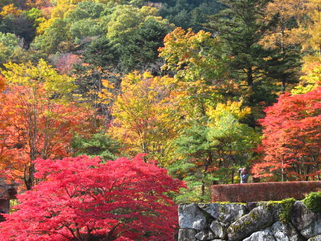 �R�����L