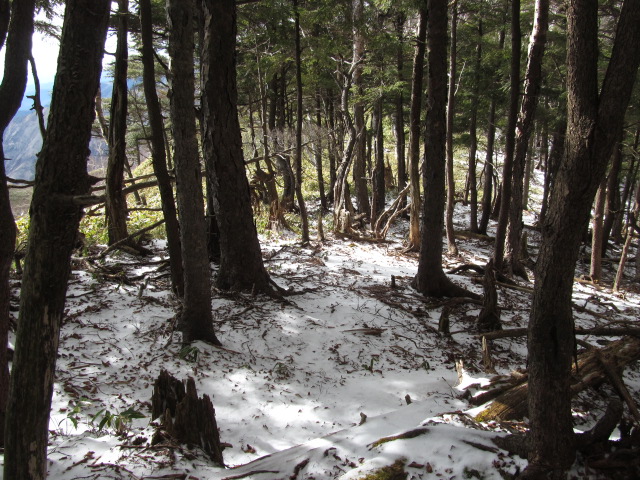 �R�����L