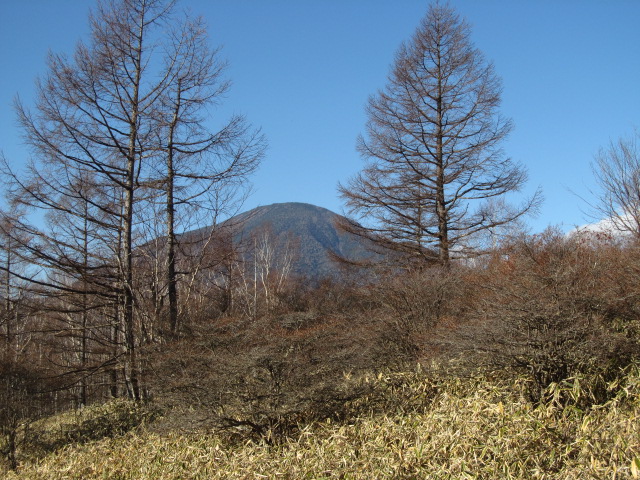 �R�����L