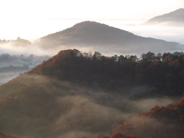 �R�����L