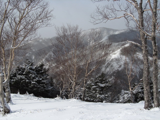 �R�����L