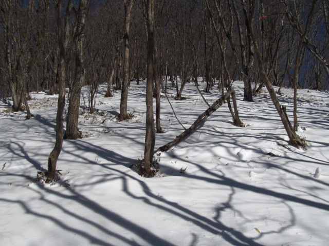 �R�����L