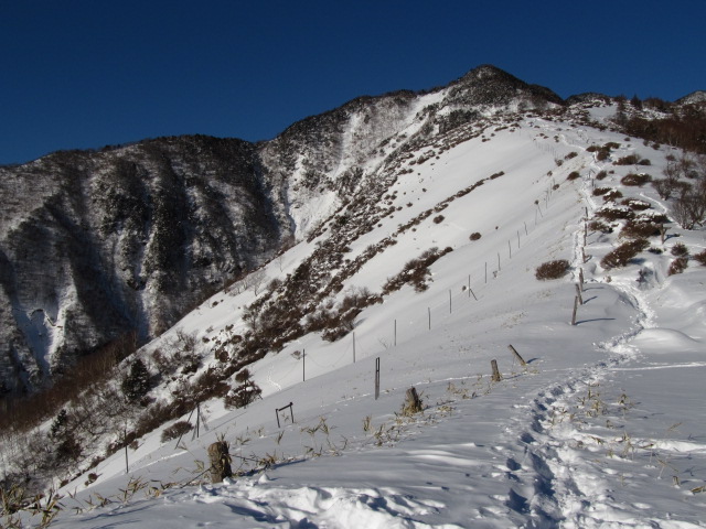 �R�����L