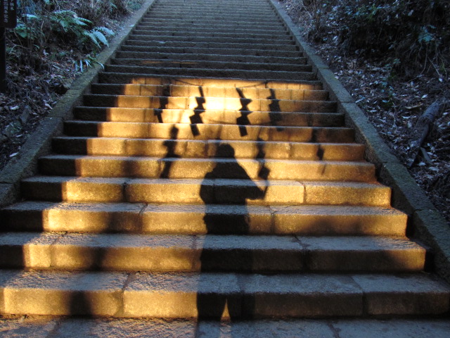 �R�����L