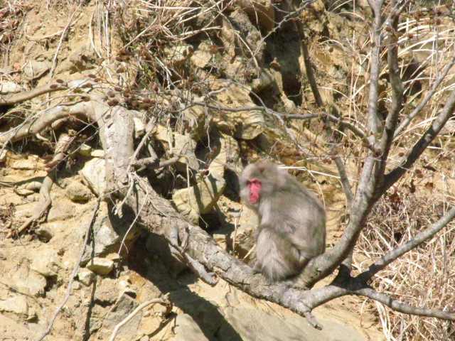 �R�����L