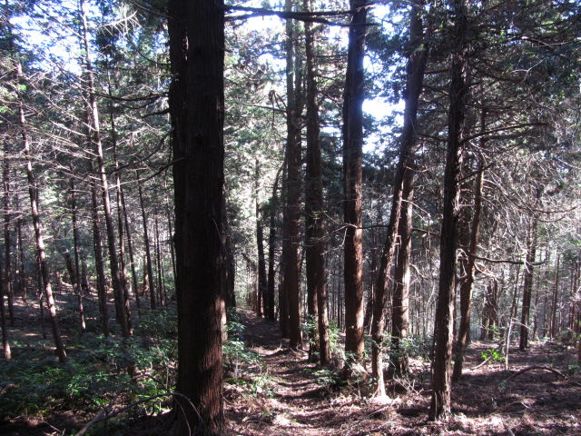 �R�����L