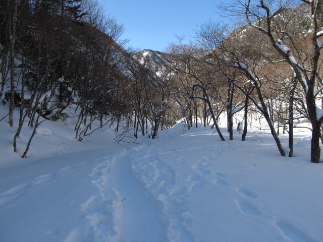 �R�����L