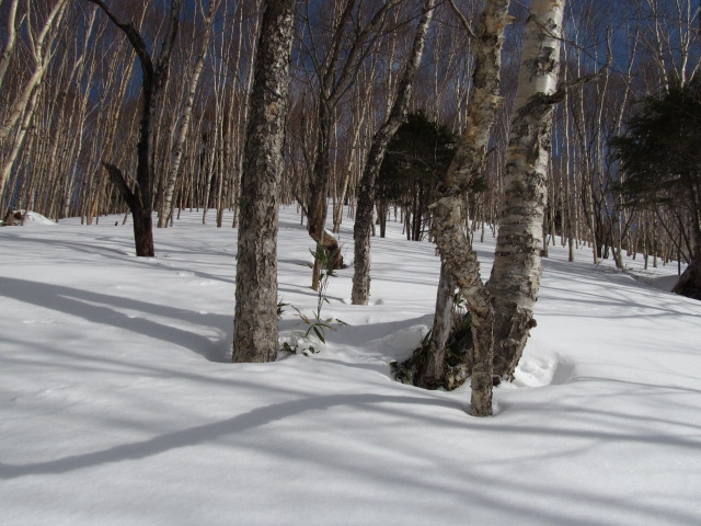 �R�����L