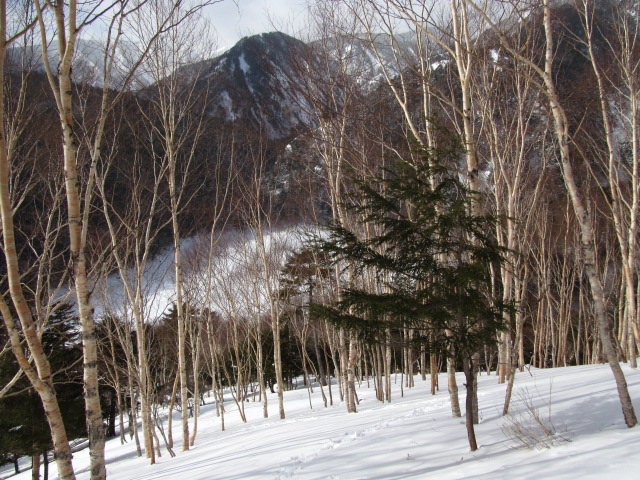 �R�����L