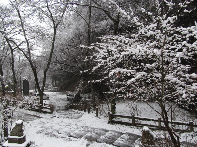 �R�����L