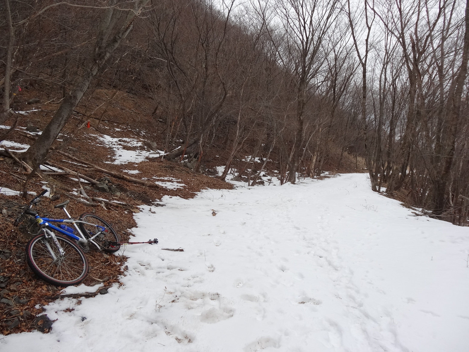 �R�����L