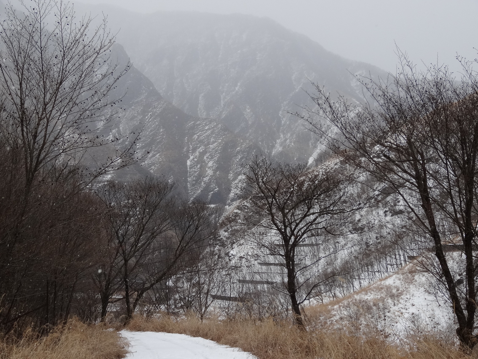 �R�����L