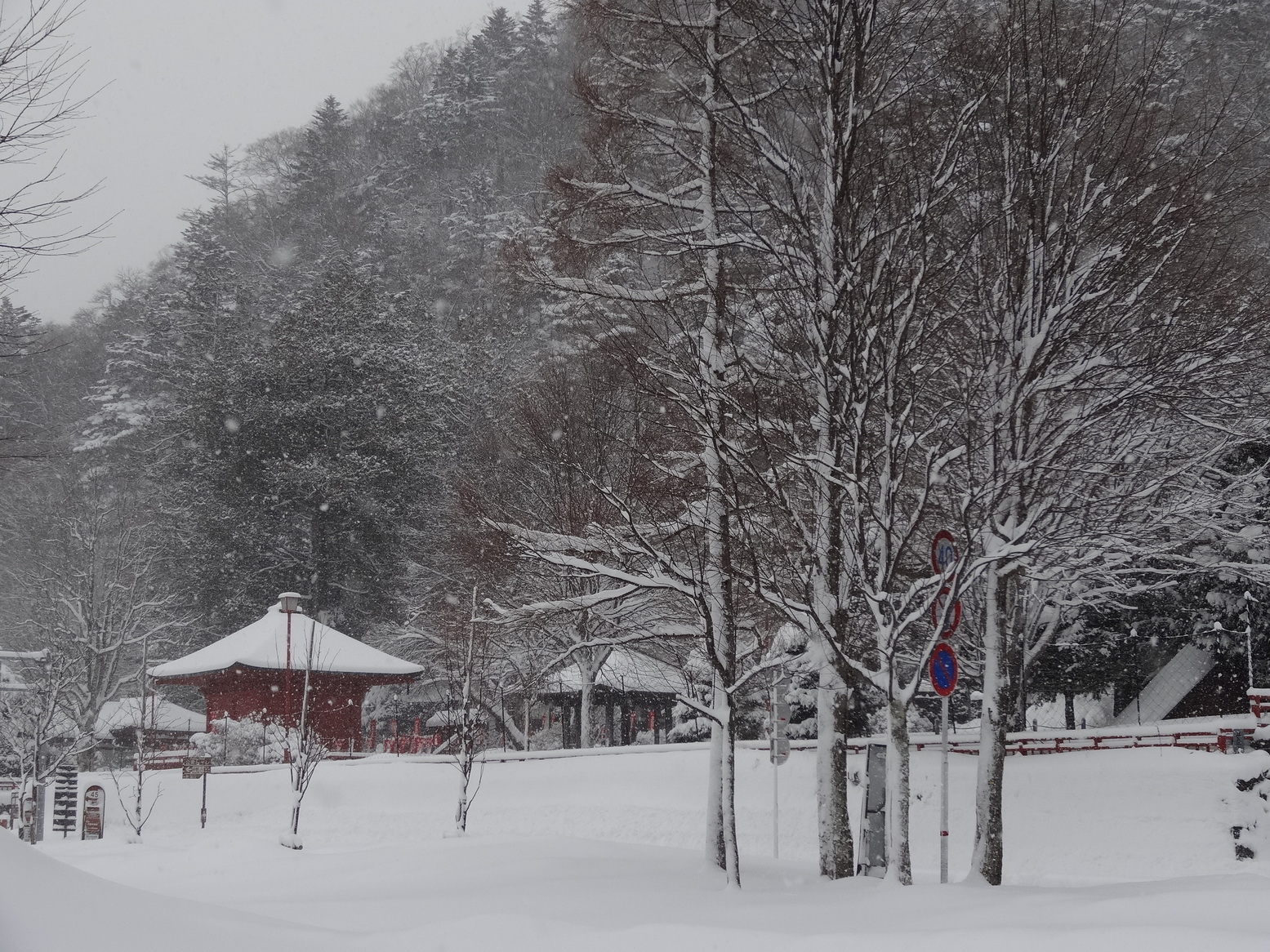 �R�����L