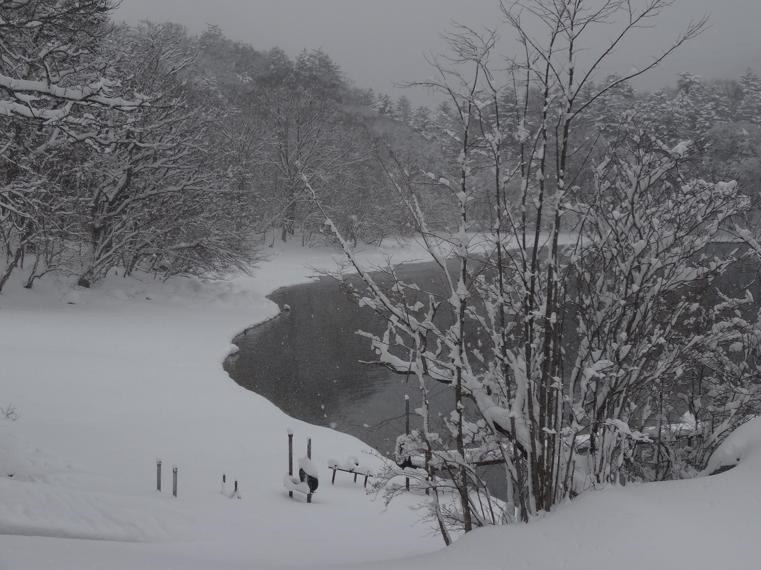 �R�����L