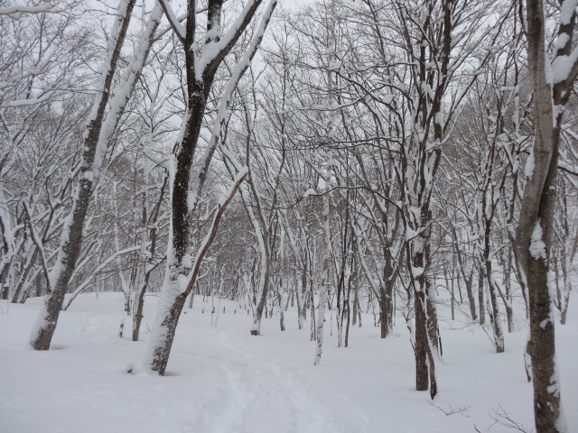 �R�����L