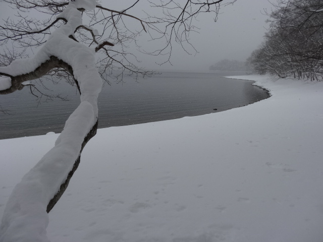 �R�����L