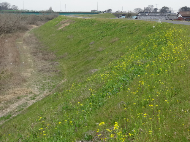 �R�����L