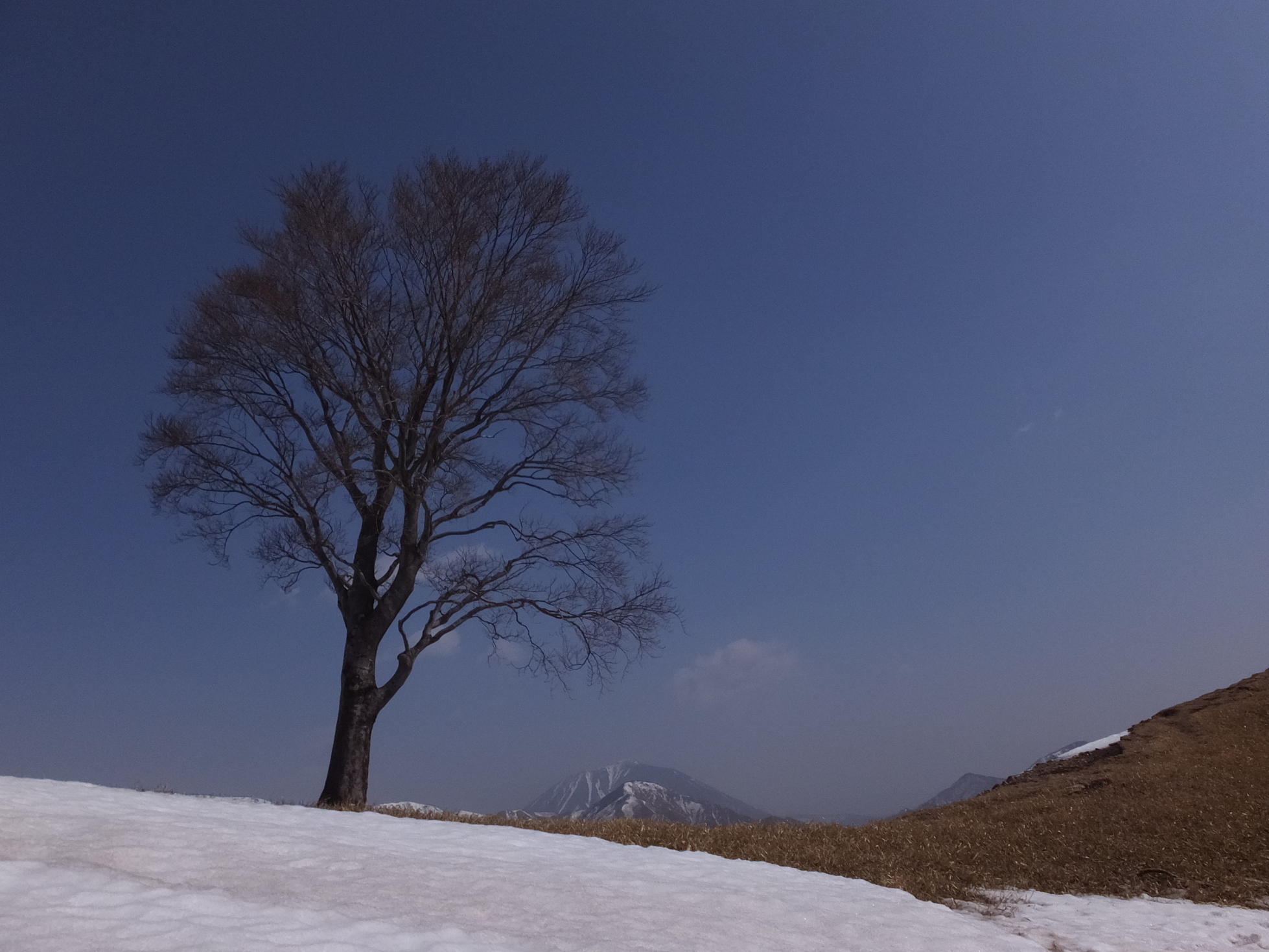 �R�����L