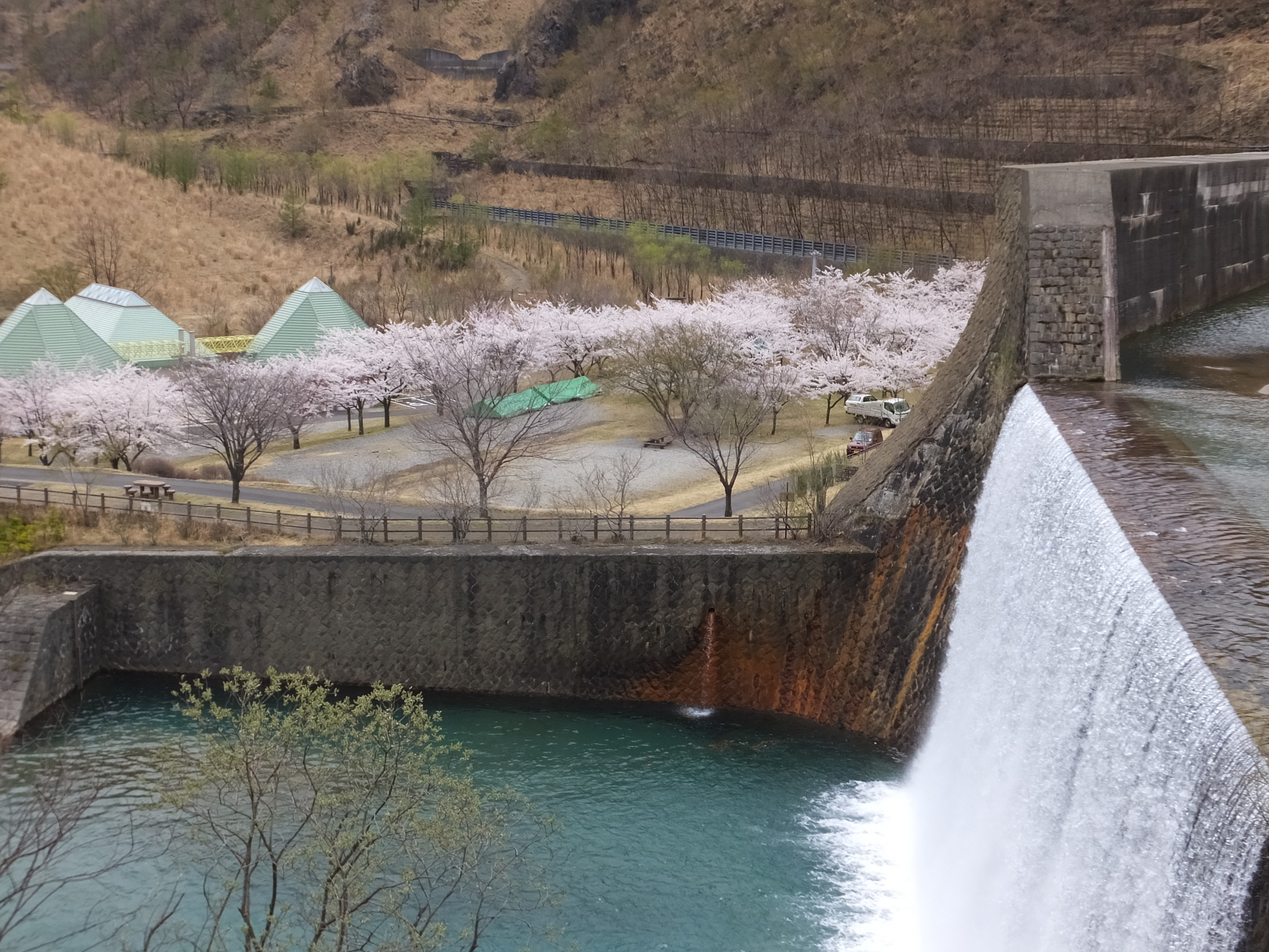 �R�����L