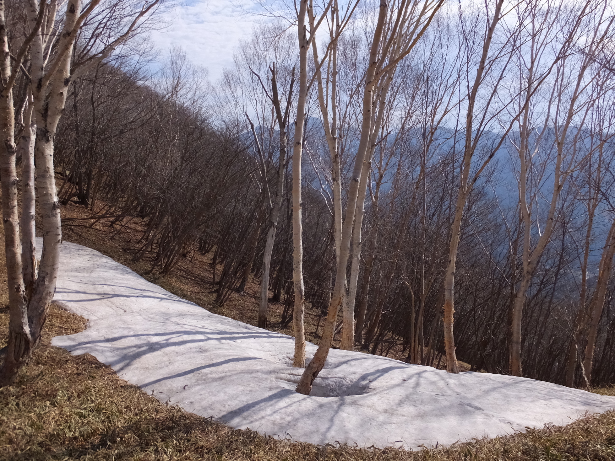 �R�����L