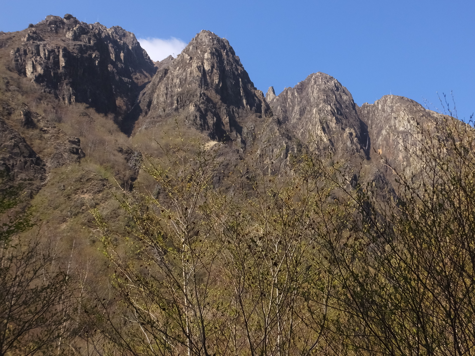 �R�����L