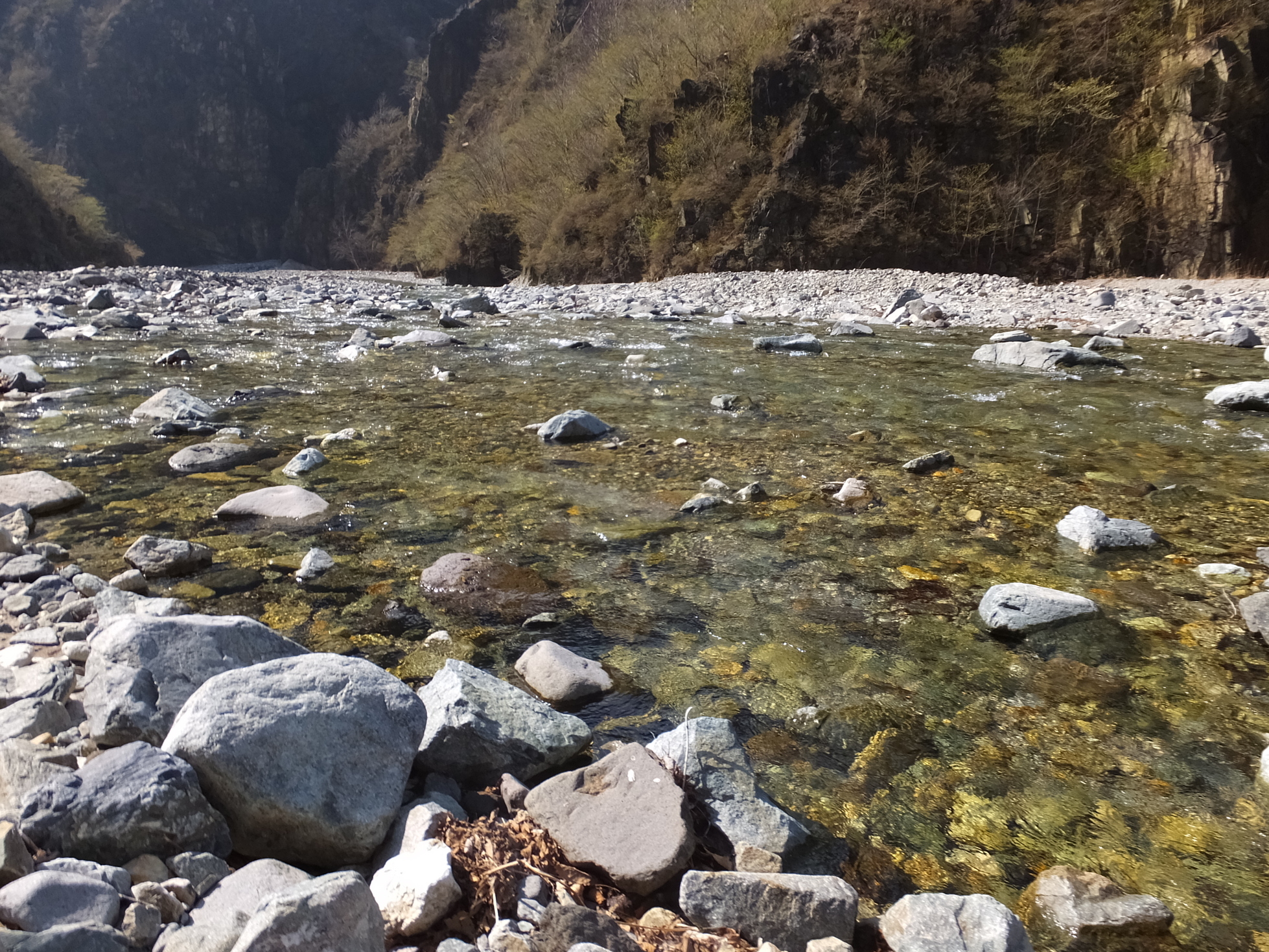 �R�����L