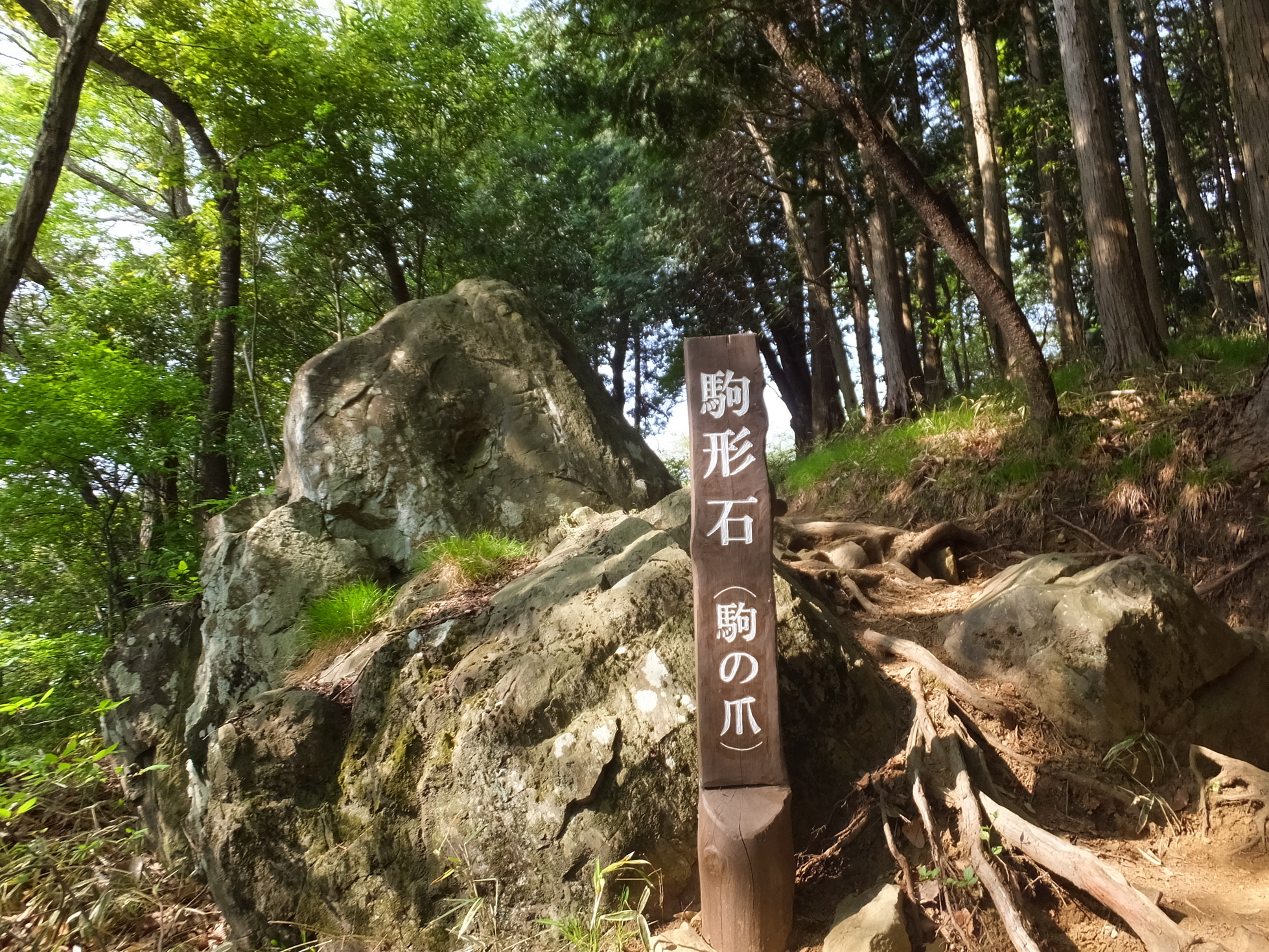 �R�����L