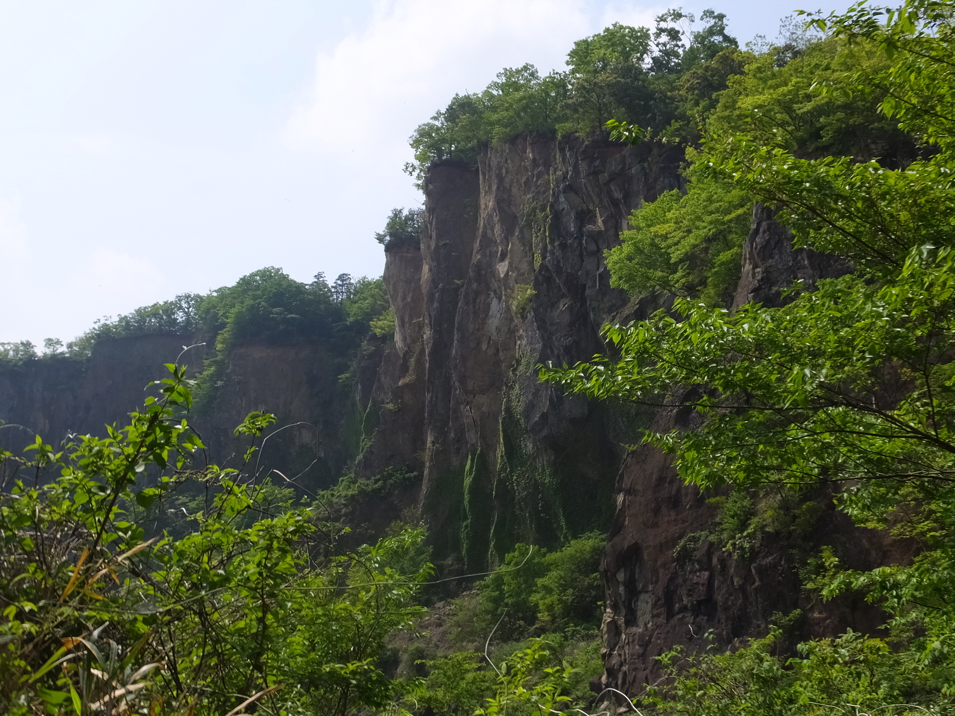 �R�����L