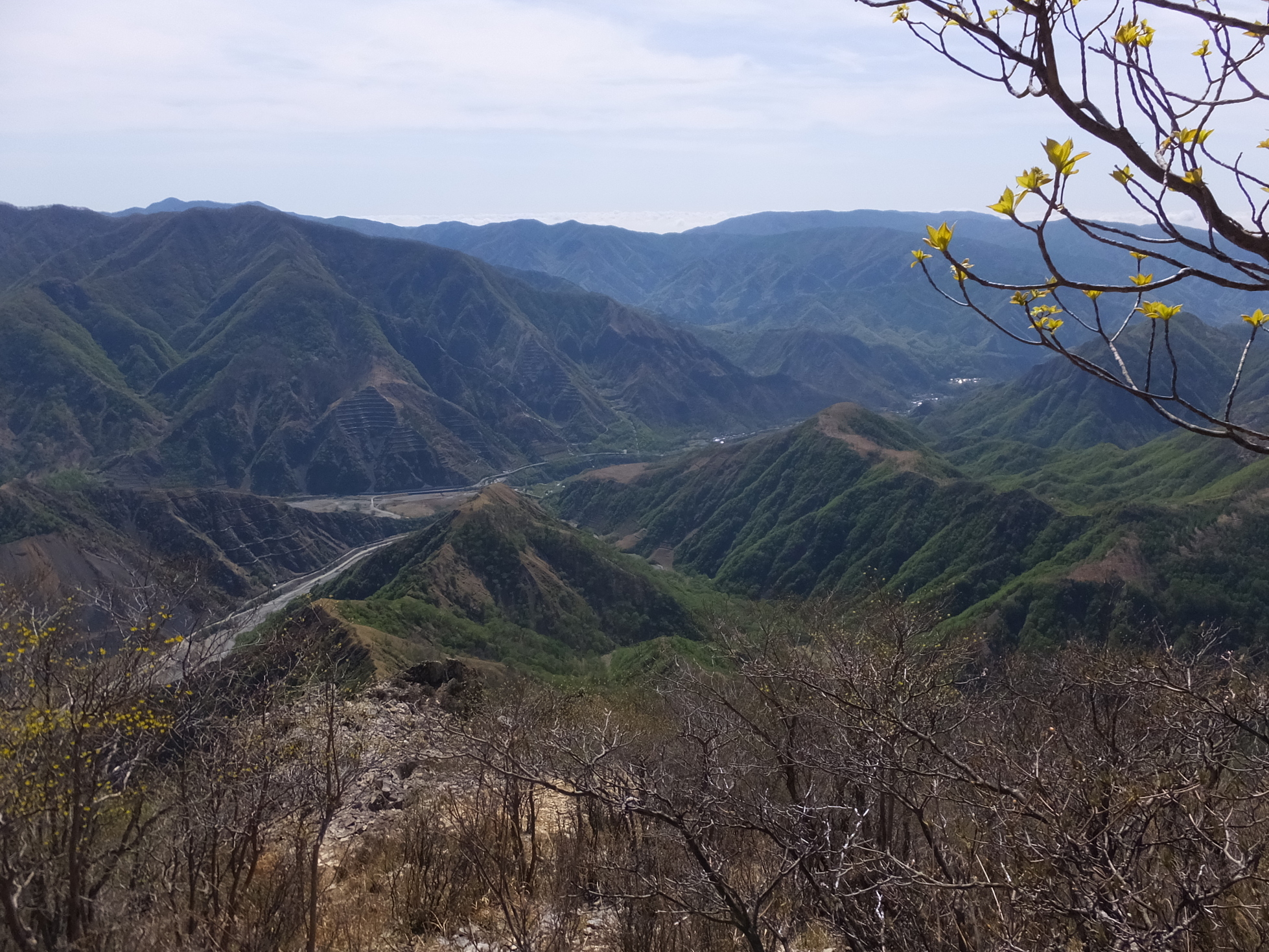 �R�����L