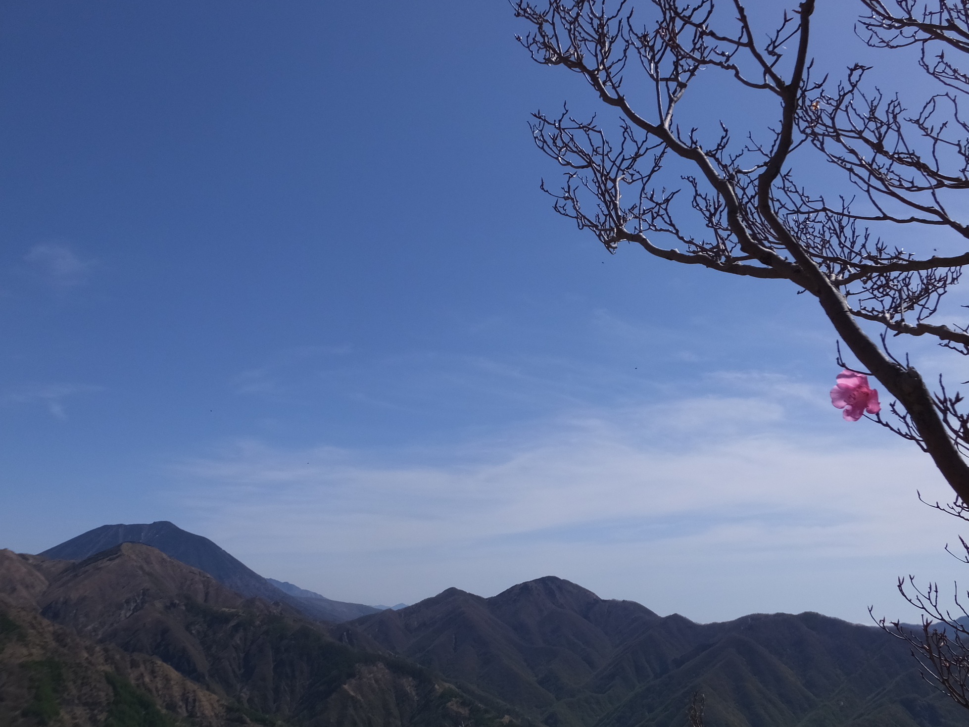 �R�����L