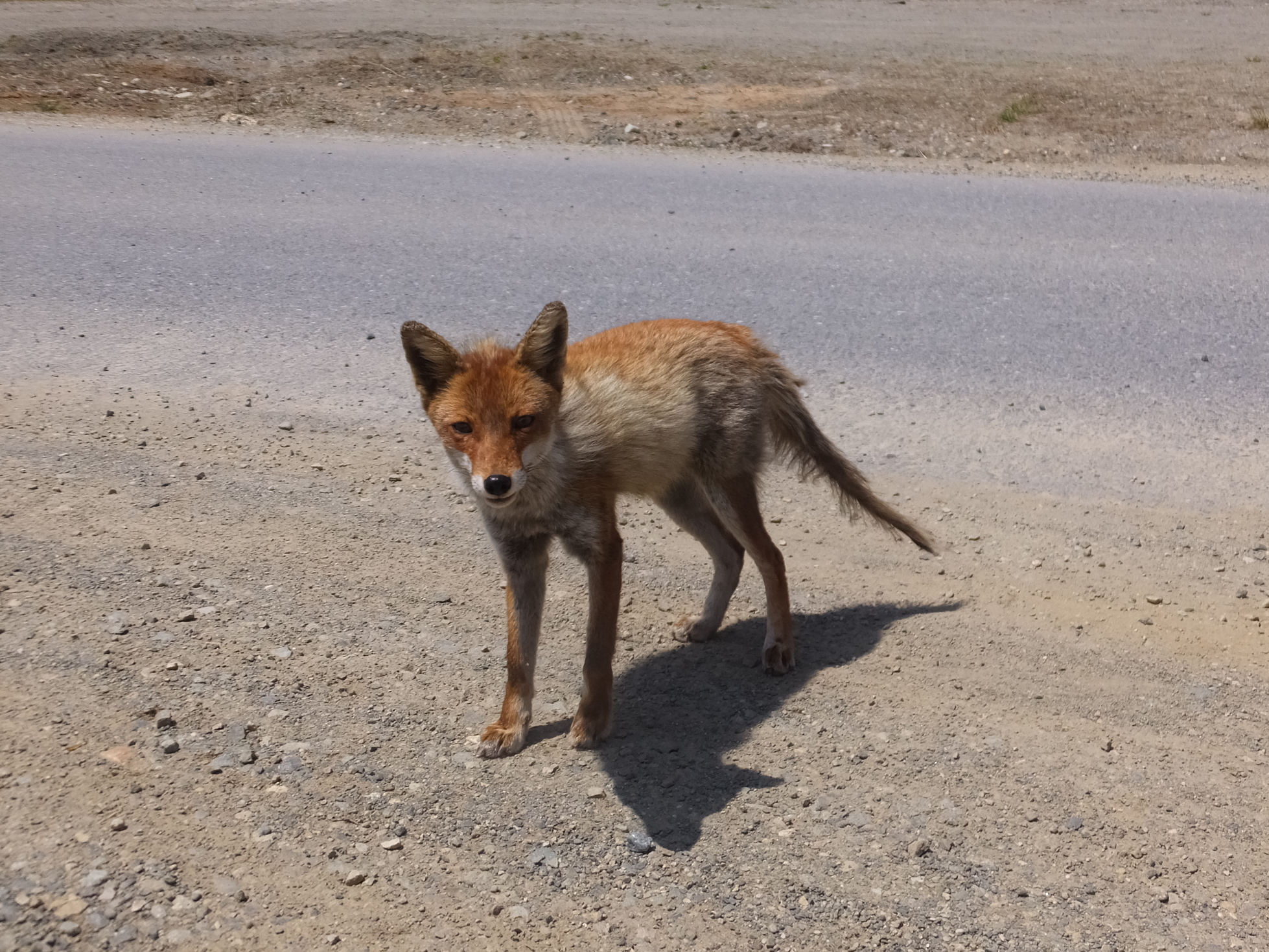 �R�����L