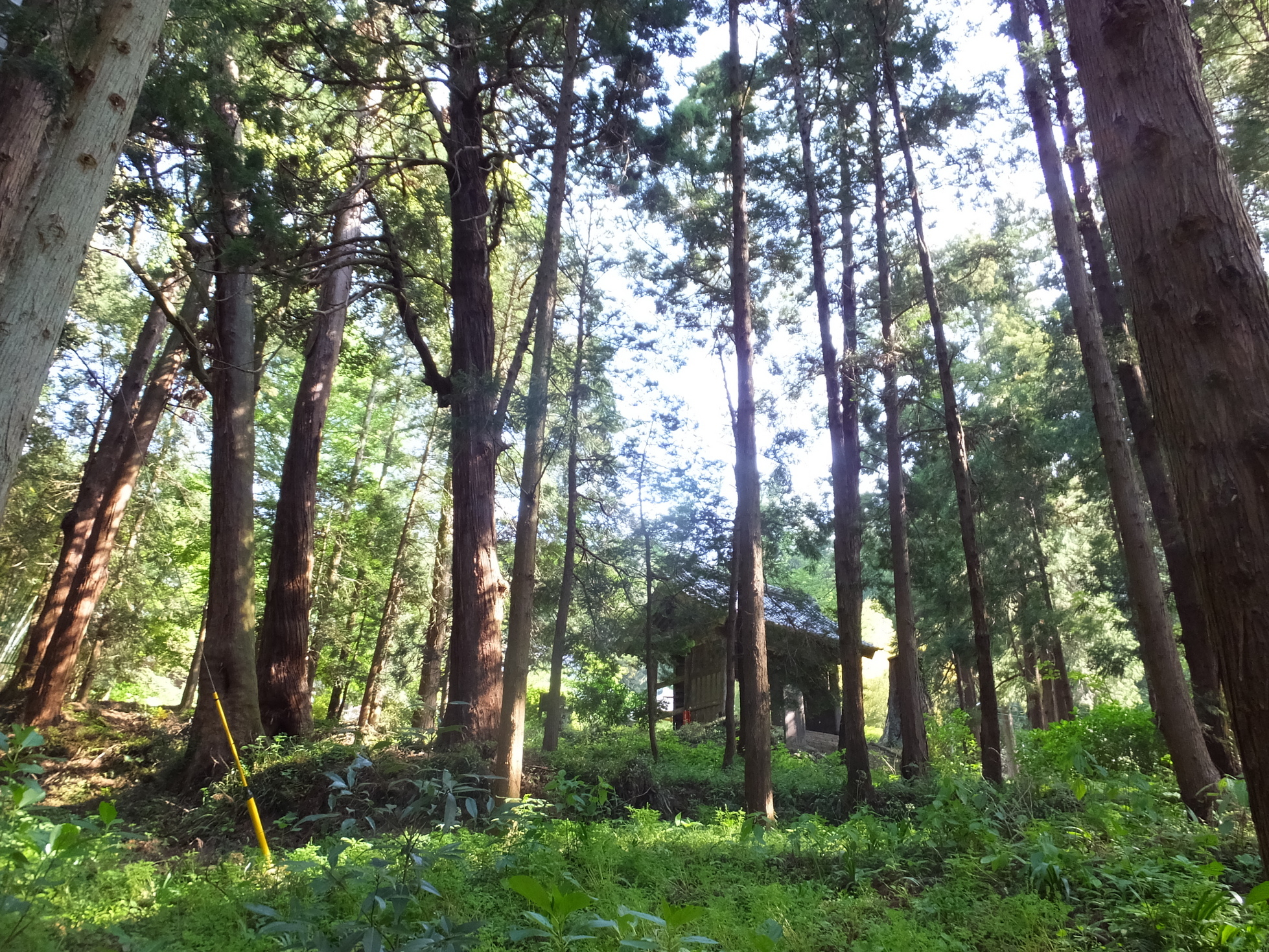 �R�����L